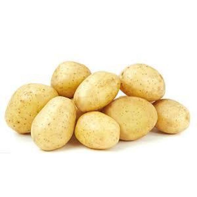 小土豆 1000g 【新鲜蔬菜】