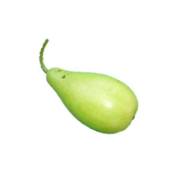 葫芦蒲瓜 （空运）（ 1个) 新鲜蔬菜