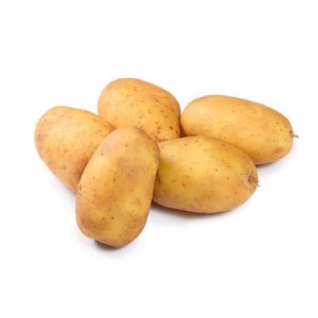 【全城最低】新鲜 大土豆 （1KG左右）