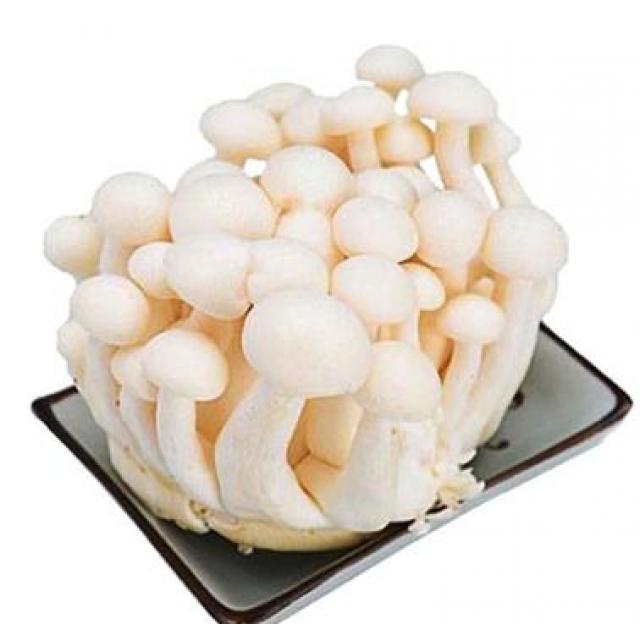 白玉菇 150g 【新鲜蔬菜】