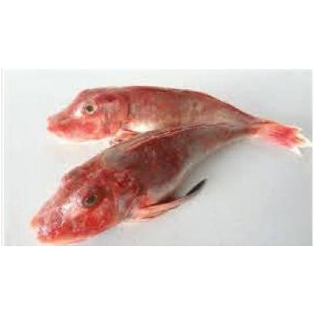 【双十二特价】鲜冻红头鱼 £5.03/kg  实际称重为准 【海鲜】